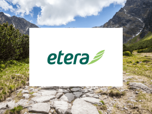 Assessment Case Story: Etera IT development agilification