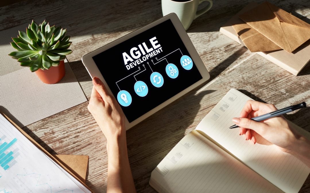 Scaling agility can only be done from the company’s own perspective
